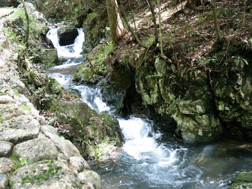 了解丹东怎么样 详细介绍丹东的风景、文化及经济发展状况?知识星球,开启知识分享之旅